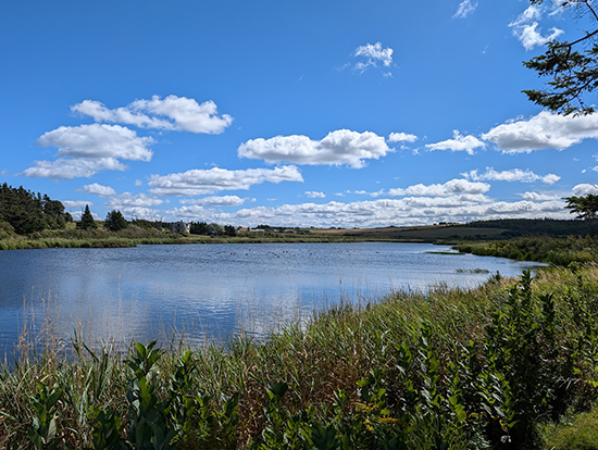 small lake landscape